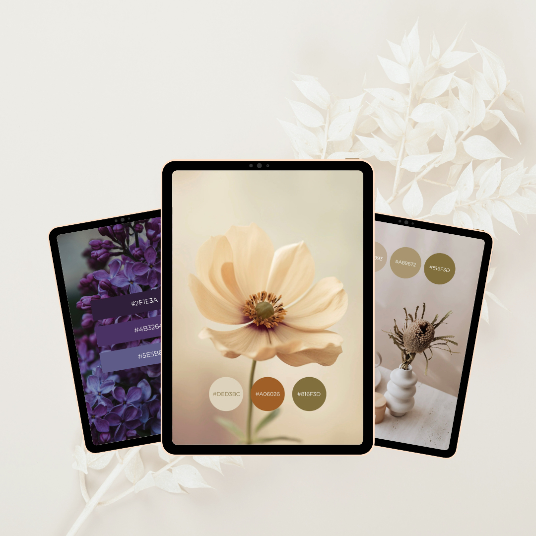 Farben-Guide Farb Inspirationen